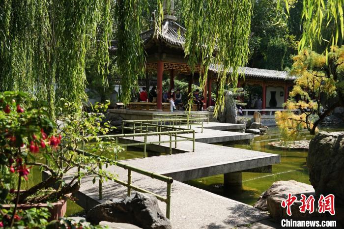 圖為西寧園林植物園秋日風(fēng)景別有韻味?！●R銘言 攝