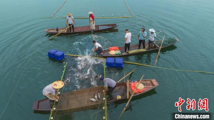 捕魚現(xiàn)場。　主辦方供圖