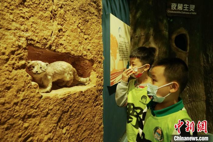 圖為小朋友在青海西寧湟水國家濕地公園科普館內參觀學習?！●R銘言 攝
