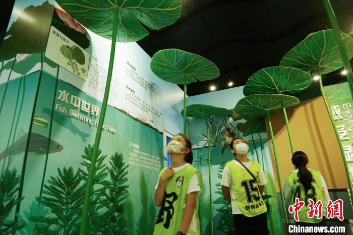 圖為小朋友在青海西寧湟水國家濕地公園科普館內參觀學習?！●R銘言 攝