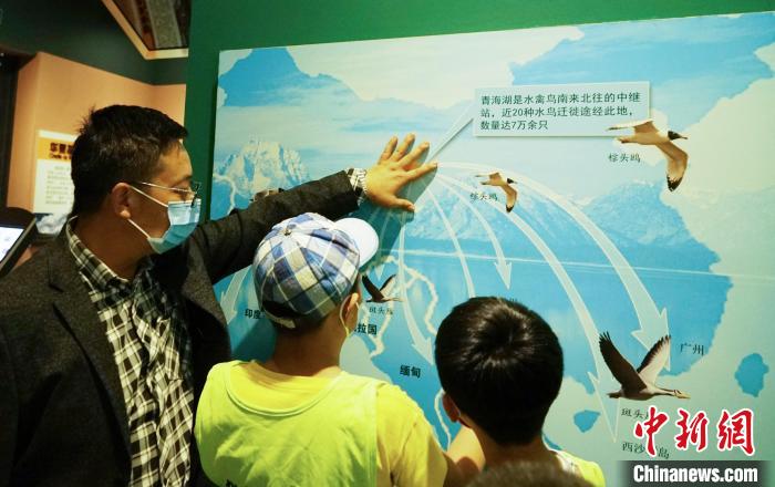 圖為小朋友在青海西寧湟水國家濕地公園科普館內參觀學習?！●R銘言 攝