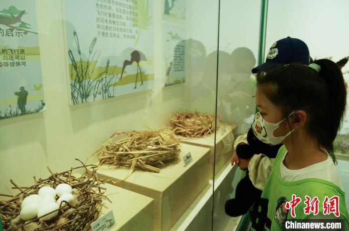 圖為小朋友在青海西寧湟水國家濕地公園科普館內參觀學習?！●R銘言 攝