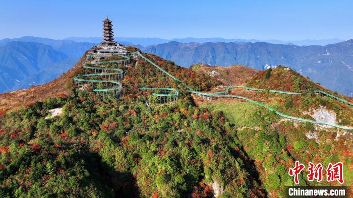 巴山大峽谷彩林迎來最佳觀賞期?！∫κ?攝