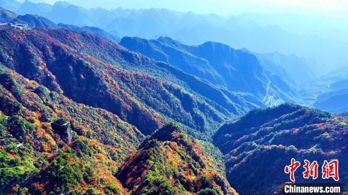 巴山大峽谷彩林迎來最佳觀賞期?！埰?攝