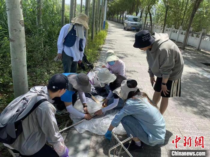 圖為科研人員正在進行監(jiān)測?！∥鲗庝宜畤覞竦毓珗@供圖