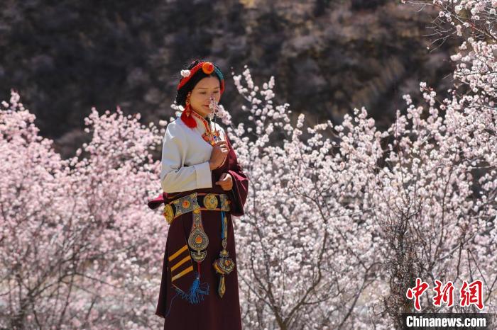 白玉縣河坡鎮(zhèn)桃花林間身穿民族服飾的藏族女孩?！“子袢诿?攝