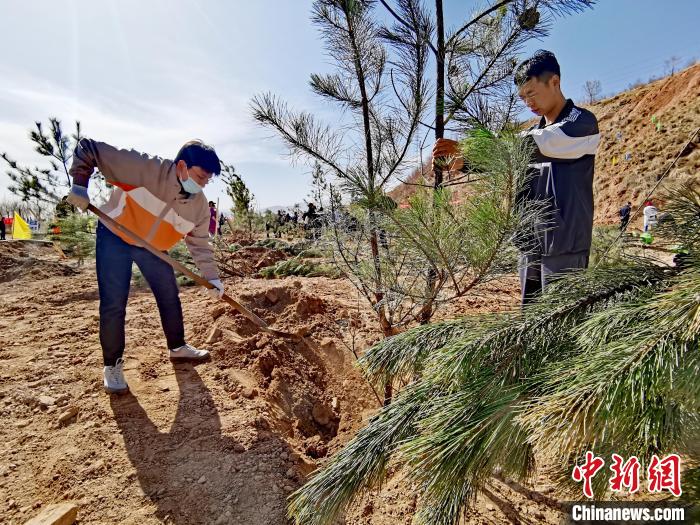 圖為西寧市城東區(qū)義務(wù)植樹(shù)活動(dòng)現(xiàn)場(chǎng)?！?zhí)砀?攝