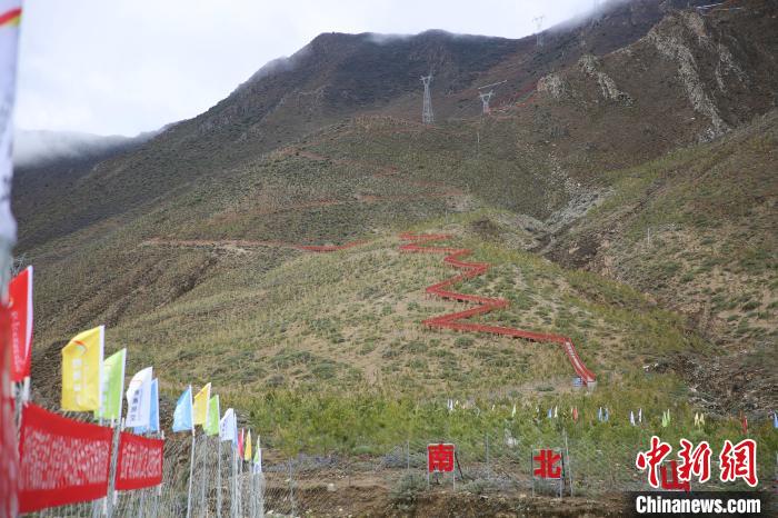 圖為拉薩南北山綠化工程拉薩曲水縣才納村5號(hào)片區(qū)?！∝暣_ 攝