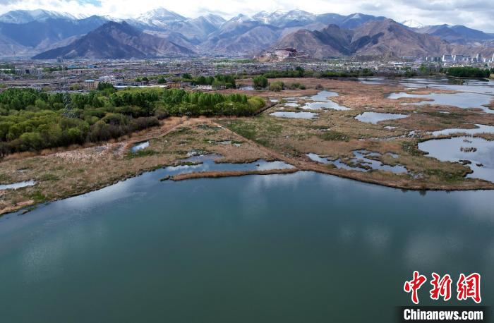 圖為拉薩拉魯濕地。(無(wú)人機(jī)照片) 李林 攝