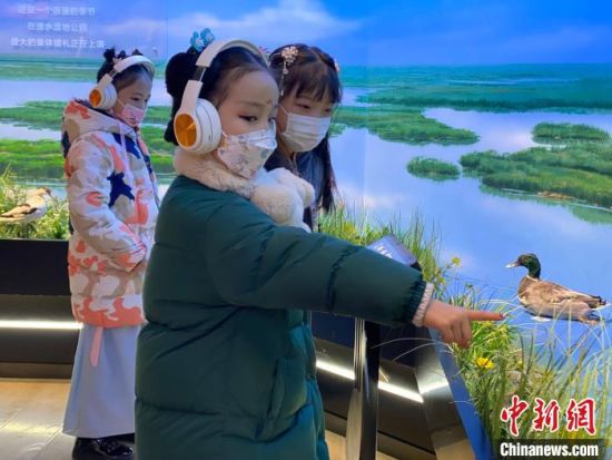 圖為學(xué)生在西寧市第一中學(xué)濕地科普宣教館內(nèi)參觀。　李江寧 攝