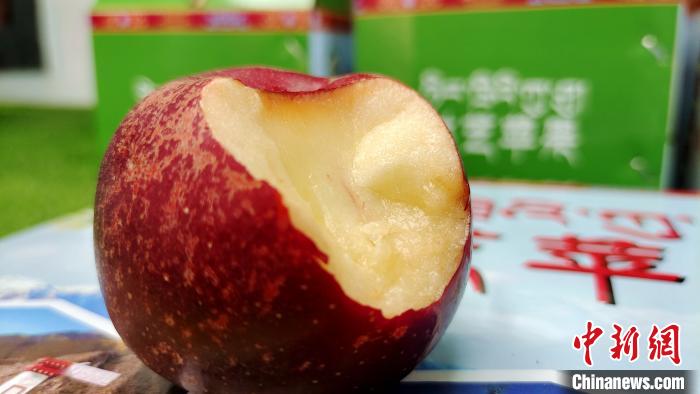 圖為通麥村特色甜心蘋果?！∝暽＠?攝