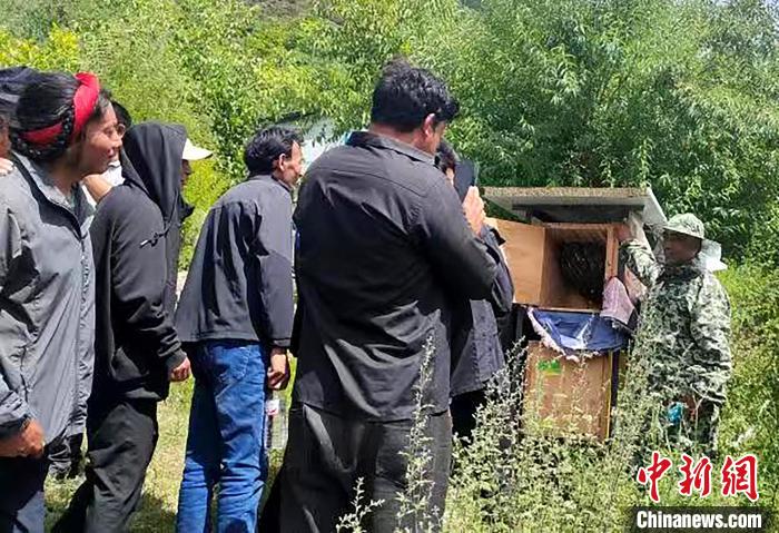 拉久西村村民學(xué)習(xí)養(yǎng)蜂工作流程和防范事項(xiàng)。　昌都市芒康縣委宣傳部供圖