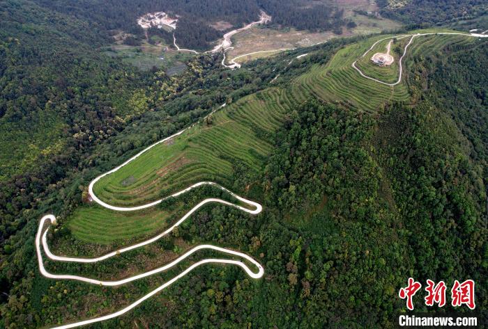 圖為西藏林芝市墨脫縣背崩鄉(xiāng)格林村山頂?shù)木坝^茶園。(無人機(jī)照片) 李林 攝