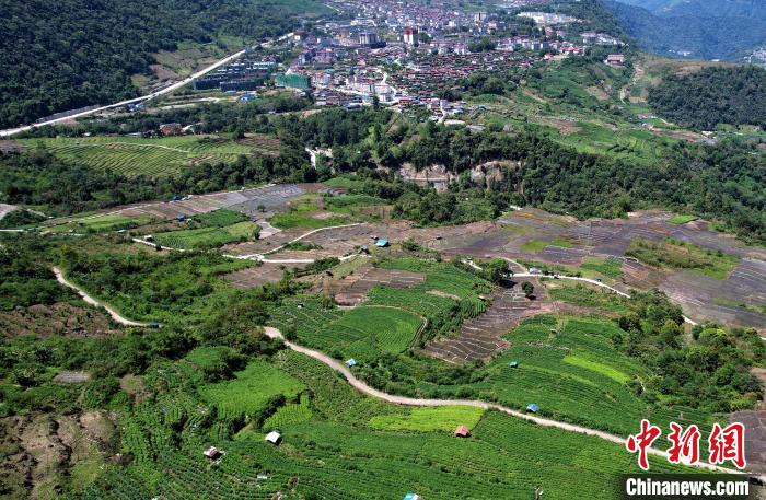 圖為西藏林芝市墨脫縣城附近的茶田。(無人機(jī)照片) 李林 攝