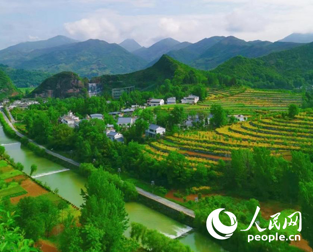 陜西商洛漫川關(guān)鎮(zhèn)民宿群。人民網(wǎng) 王麗攝