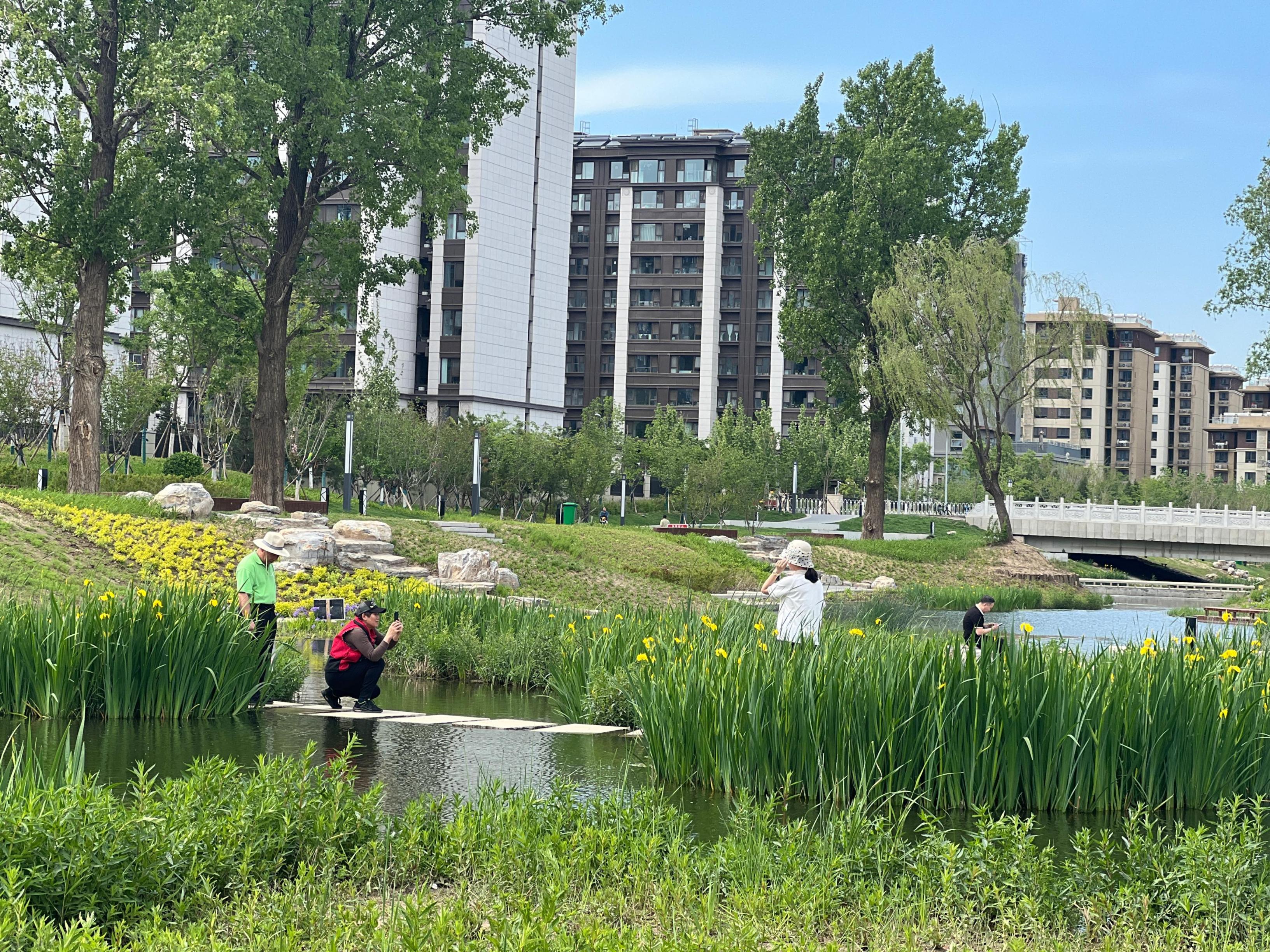 五一渠生態(tài)濱河公園內(nèi)，市民正在拍照留念。人民網(wǎng) 歐陽易佳攝