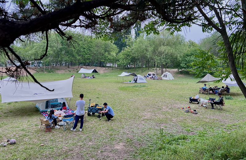 “自駕+露營”等多元模式受熱捧。人民網(wǎng)記者 王連香攝
