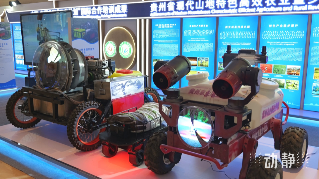 展示成果分享經(jīng)驗(yàn)，中國—東盟教育交流周深化合作共創(chuàng)未來！
