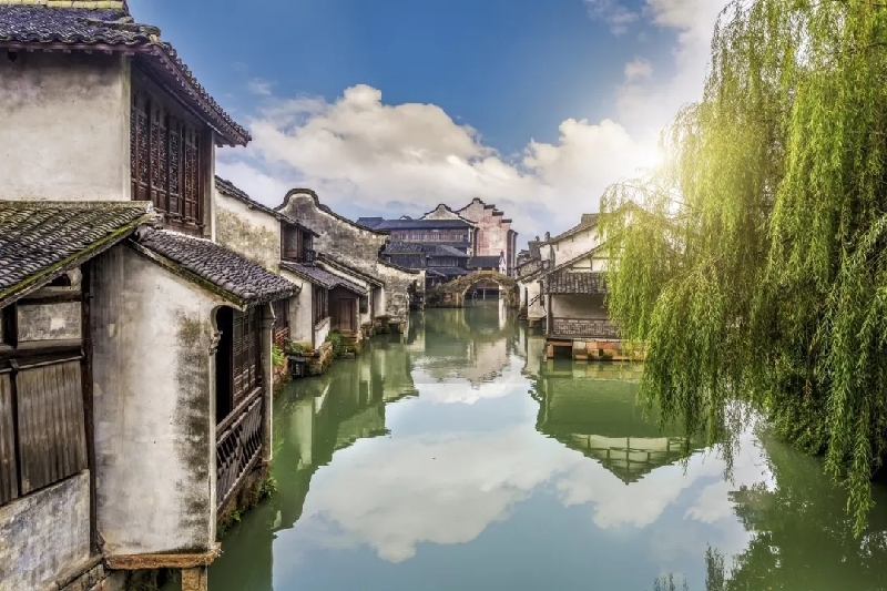 烏鎮(zhèn)動(dòng)觀察｜這個(gè)字，牽起國(guó)際交流互鑒之紐帶