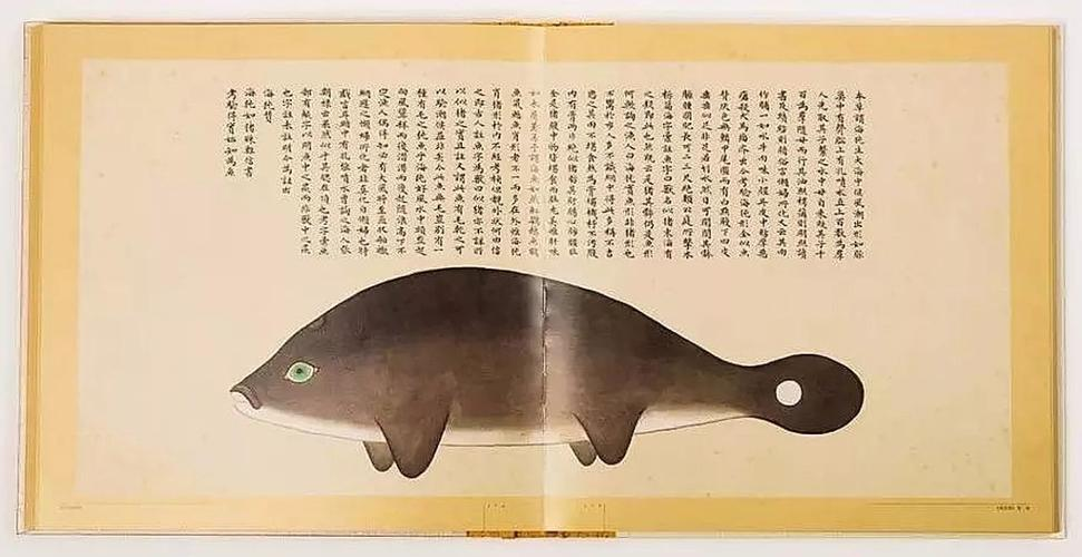 文化中國(guó)行 長(zhǎng)江之歌丨微笑的江豚，從四千年前“游”來(lái)