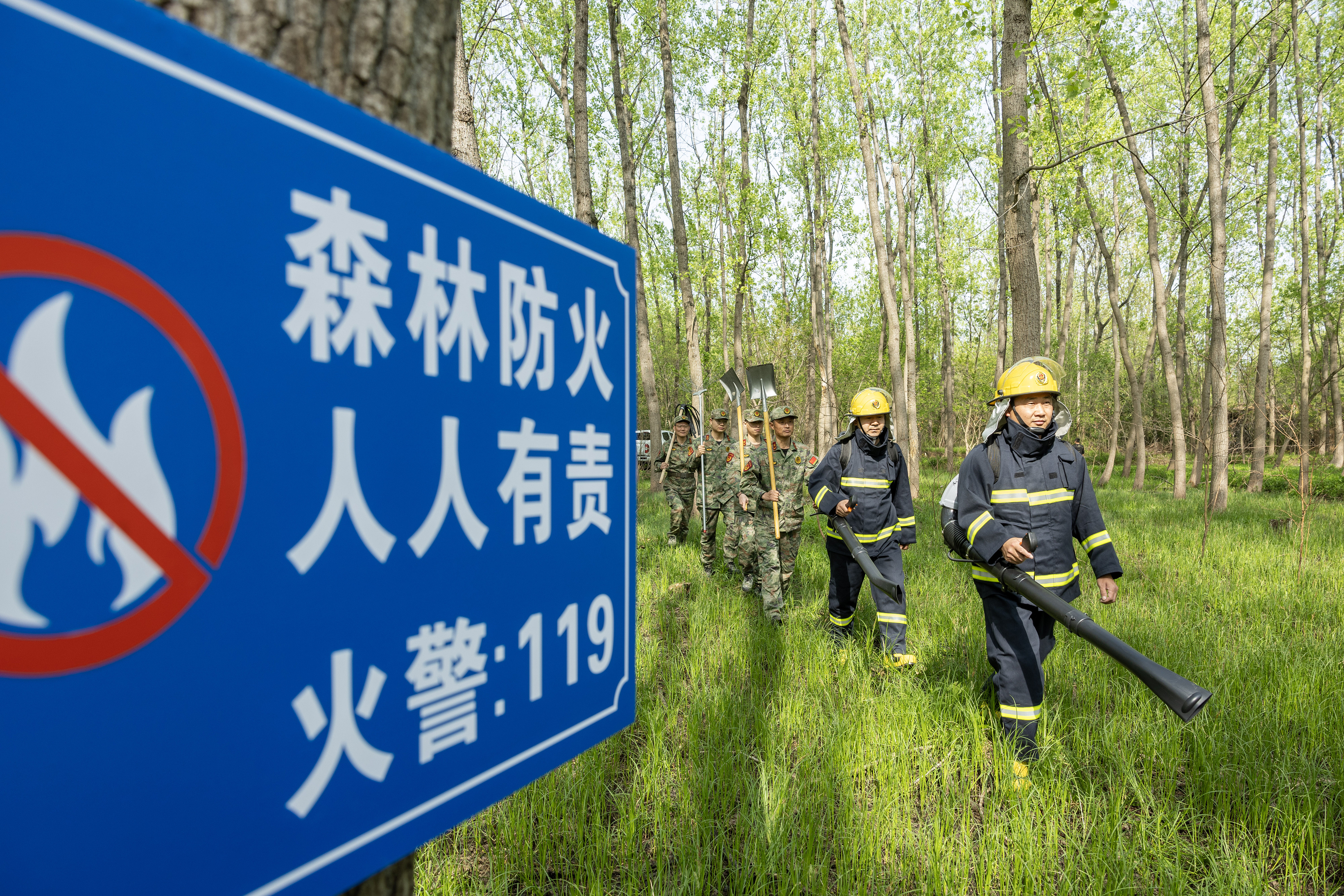 2024年4月9日，合肥市大房郢水庫水源保護(hù)地廬陽經(jīng)濟(jì)開發(fā)區(qū)段，基干民兵正在林間巡查火災(zāi)隱患。