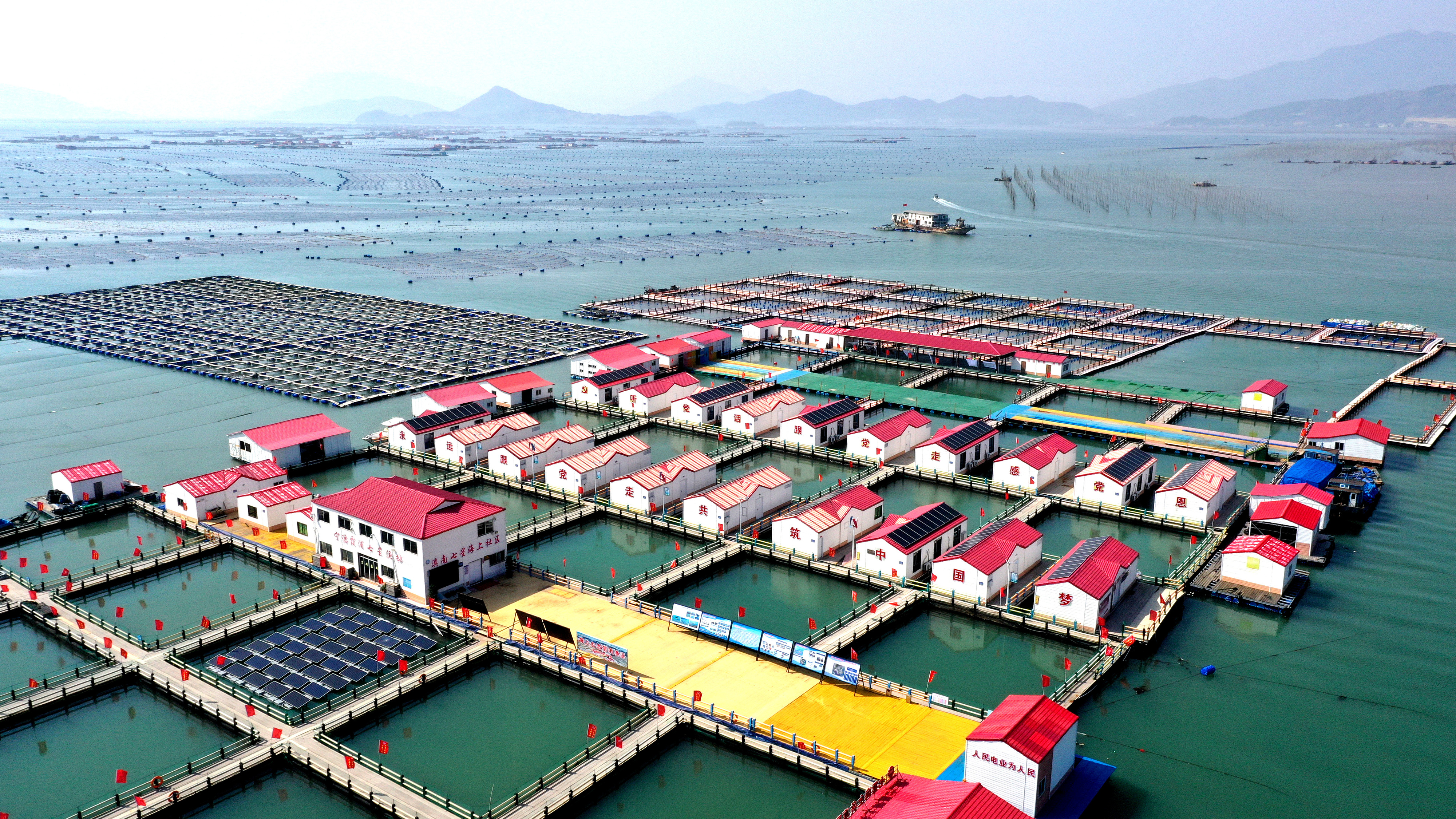 2024年3月20日，福建省寧德市，霞浦縣溪南鎮(zhèn)七星村漁排養(yǎng)殖示范區(qū)，漁民駕駛養(yǎng)殖船進行海參養(yǎng)殖作業(yè)。