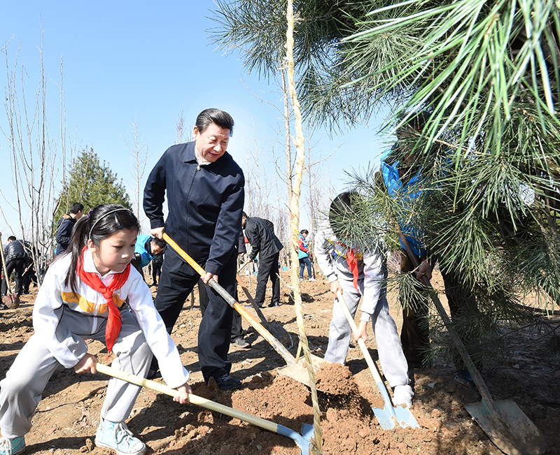2015年4月3日，習(xí)近平總書記同大家一起植樹(shù)。