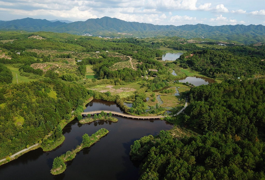 福建省龍巖市長汀縣的長汀汀江國家濕地公園景色（2020年7月28日攝，無人機(jī)照片）。新華社記者 魏培全 攝