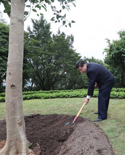2012年12月7日至11日，習(xí)近平在廣東省考察工作。這是8日上午，習(xí)近平在深圳蓮花山公園種下一棵高山榕樹。新華社記者 蘭紅光 攝