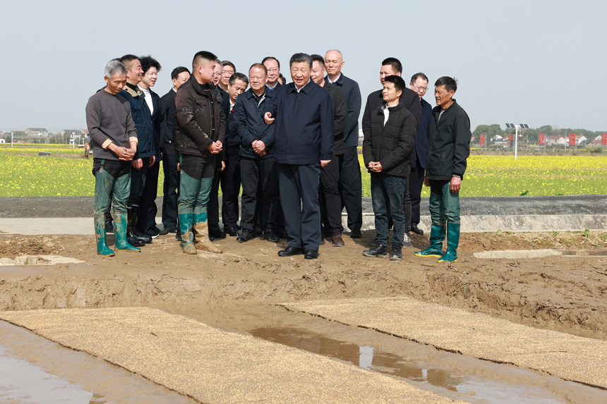 2024年3月18日至21日，中共中央總書記、國家主席、中央軍委主席習(xí)近平在湖南考察。這是19日下午，習(xí)近平在常德市鼎城區(qū)謝家鋪鎮(zhèn)港中坪村走進(jìn)田間，察看秧苗培育和春耕備耕進(jìn)展。新華社記者 王曄 攝