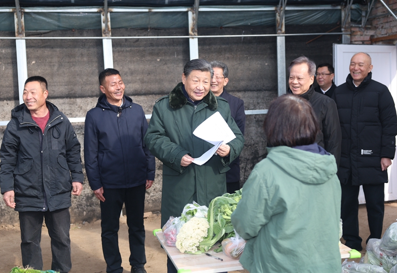 2024年2月1日，習(xí)近平總書記在天津市西青區(qū)辛口鎮(zhèn)第六埠村，走進大棚同菜農(nóng)親切交流。