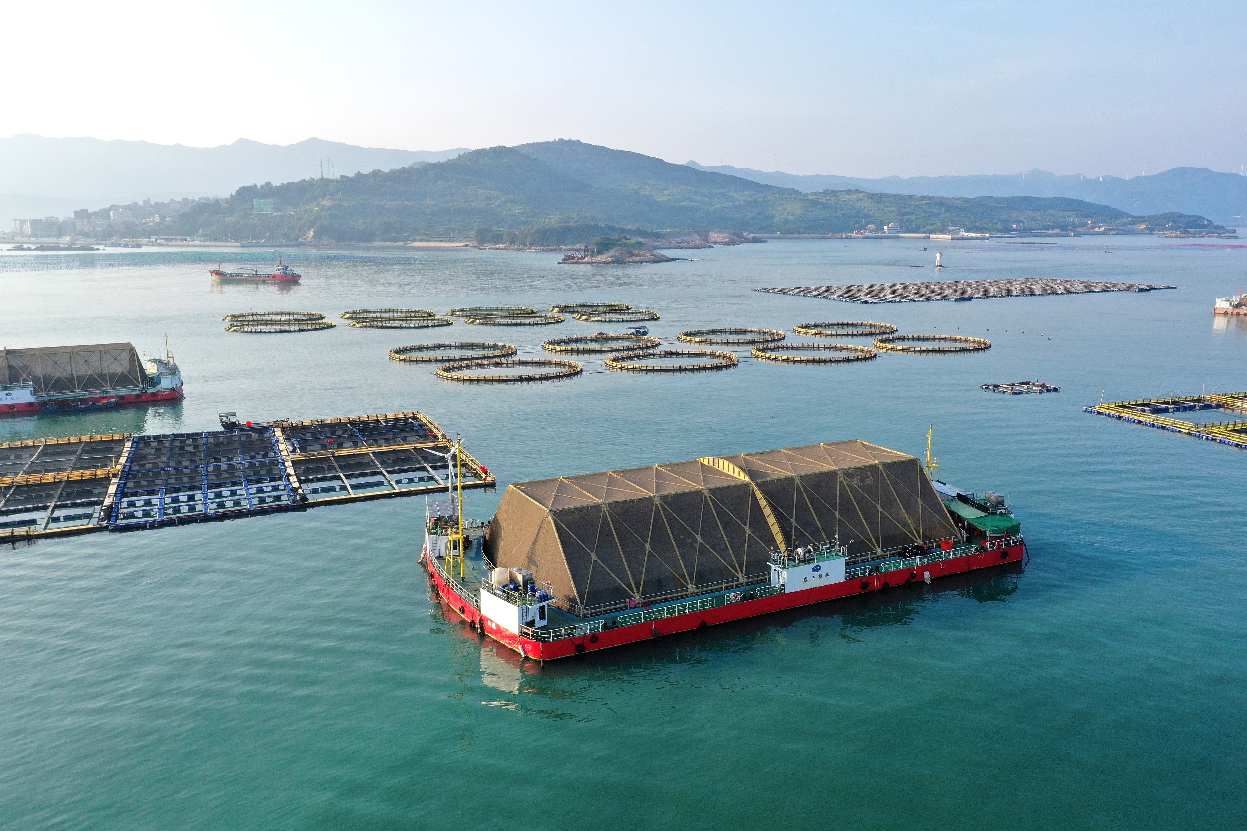 2024年9月10日拍攝的福建省福州市連江縣定海灣海域的現(xiàn)代化“海上糧倉”。