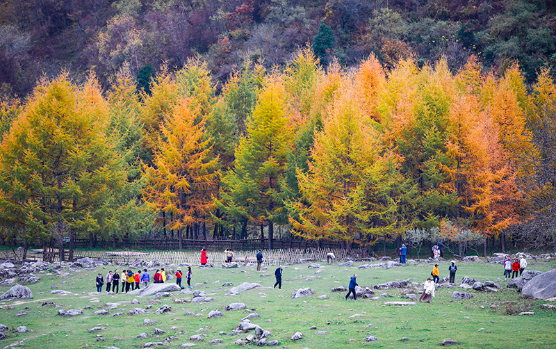 2023年10月27日，深秋時(shí)節(jié)的陜西秦嶺太子嶺漫山紅黃、色彩交織，進(jìn)入最佳觀賞期。