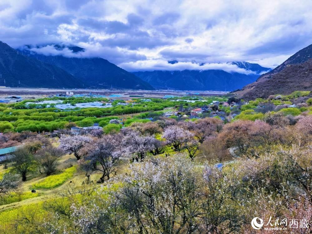桃花從中的“童話小鎮(zhèn)”。人民網(wǎng) 李海霞攝