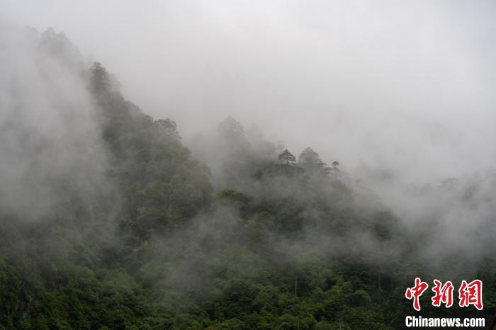 雨后勒布溝的云霧?！〗w波 攝