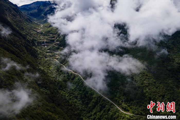 西藏山南勒布溝景區(qū)的盤山公路被云霧環(huán)繞?！〗w波 攝