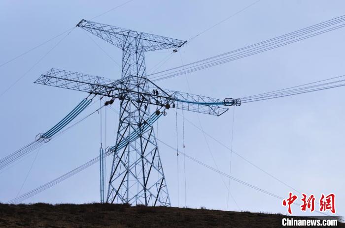 高原藏區(qū)電力線路建設(shè)者：高寒缺氧、扎刺掛彩是常事