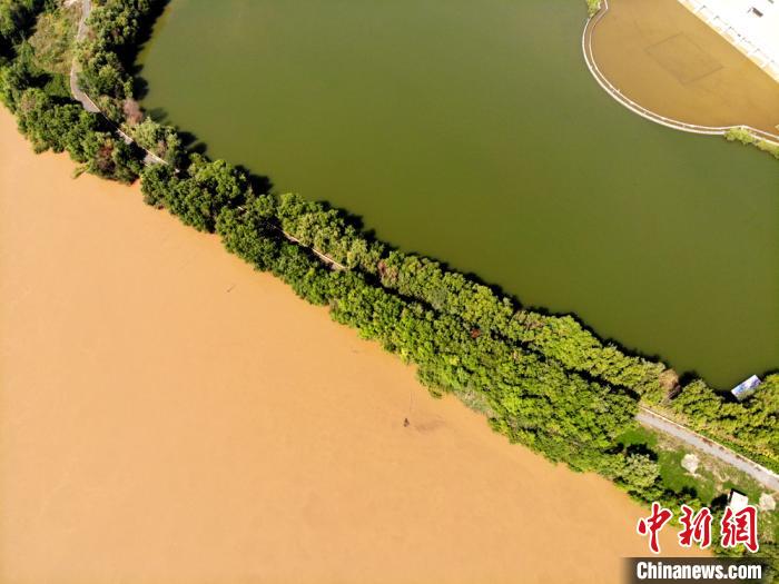 圖為2020年9月3日航拍黃河蘭州段濕地公園現(xiàn)黃河“鴛鴦鍋”。(資料圖) 高瑩 攝