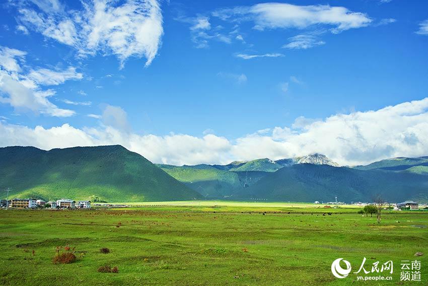 納帕海濕地風(fēng)景。呂昊辰攝