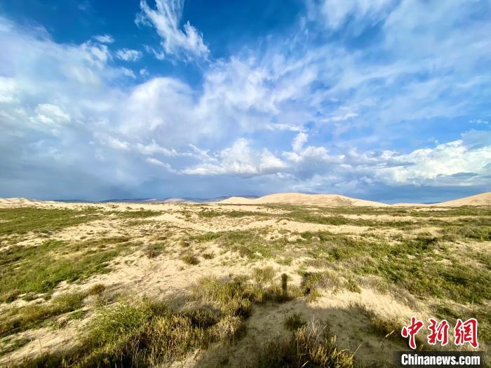 圖為關停四年后的沙島景區(qū)現(xiàn)狀?！±罱瓕?攝