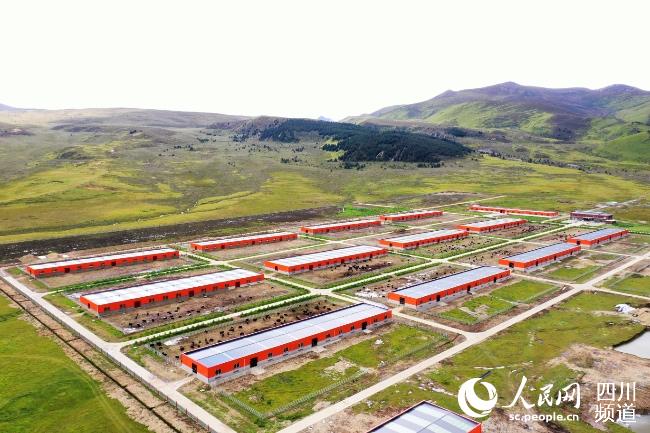 建設(shè)中的理塘縣牦牛產(chǎn)業(yè)園。葉強(qiáng)平攝