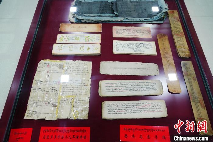圖為藏醫(yī)古集文獻(xiàn)和藏醫(yī)臨床原始手稿?！●R銘言 攝