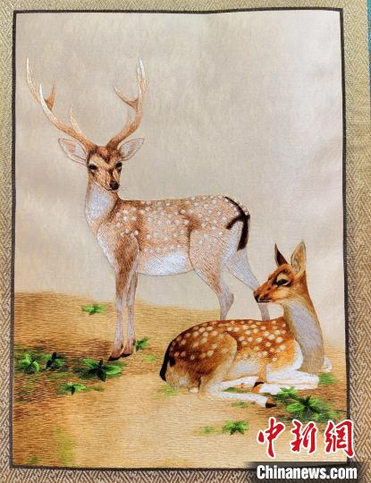 圖為藏繡作品?！∑钤鲚?攝
