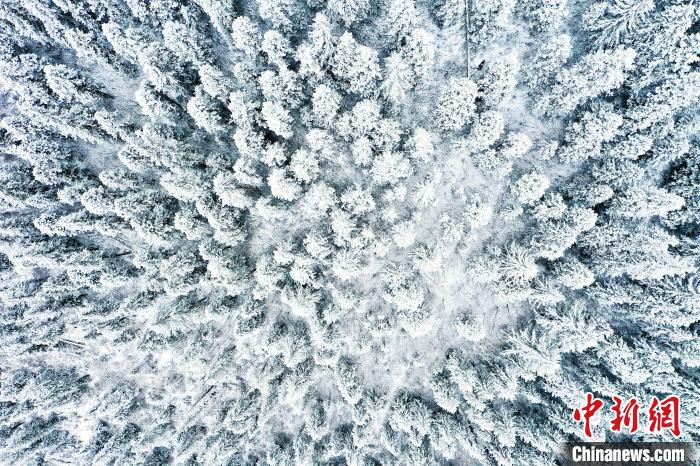 壤塘的雪后美景。　壤塘縣融媒體中心供圖