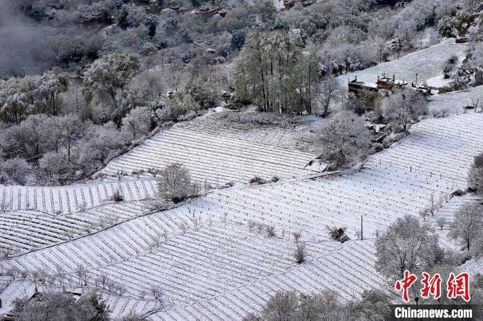 雪后的高山田間如畫(huà)?！±钣腊?攝