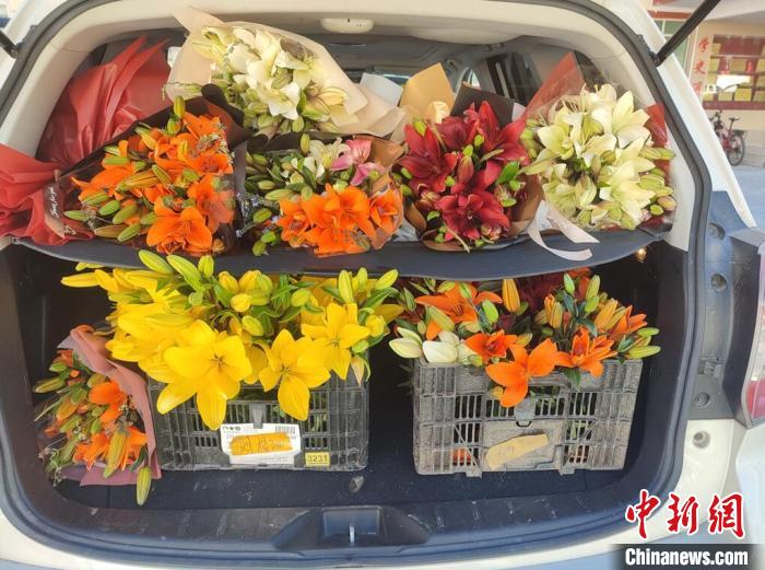 剛剛采摘下來的百合花?！∪捞量h委宣傳部供圖