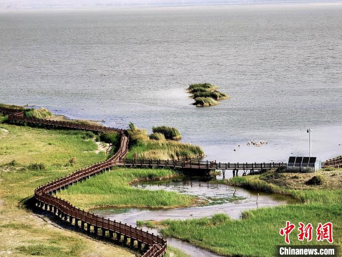 圖為都蘭湖國(guó)家濕地公園觀光棧道?！∑钤鲚?攝