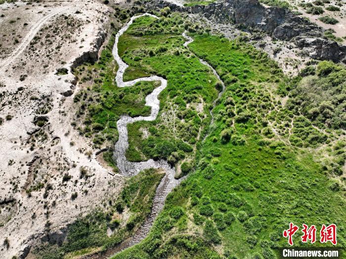 圖為航拍都蘭湖國(guó)家濕地公園綠意盎然?！∑钤鲚?攝
