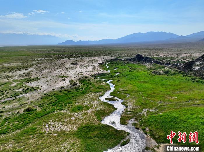 圖為航拍都蘭湖國(guó)家濕地公園綠意盎然?！∑钤鲚?攝
