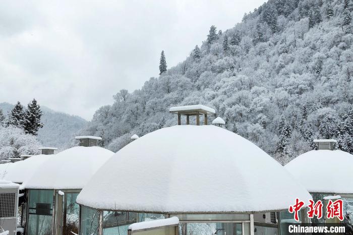 大熊貓國家公園王朗片區(qū)春雪如畫，宛若仙境?！×_春平 攝
